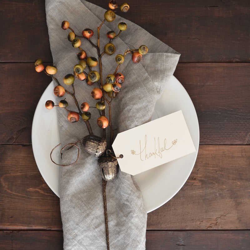 Nature-Inspired Stationery